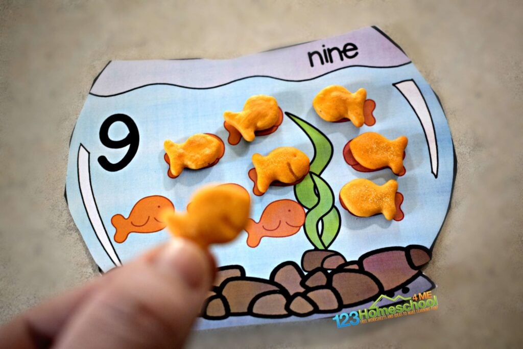 Use goldfish to practice one to one correspondence with toddler, preschool, and prek age kids.