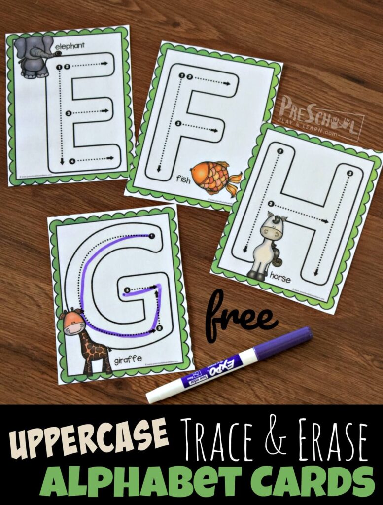 FREE Printable Uppercase Trace and Erase Alphabet Cards with Animals from A to Z
