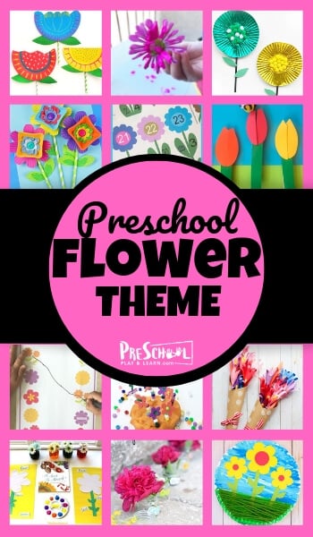 study flowers with this delightful flower theme preschool. In this flower theme for preschool you will find preschool flower theme worksheets, fun flower activities for preschool, beautiful preschool flower crafts, flower math, and flower litreacy activities too!
