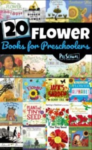 20 Flower Books for Preschoolers - so many great book recommendations for toddler, preschool, prek, and kindergarten age kids perfect for spring and summer #booklist #bookrecommendations #preschoolbooks