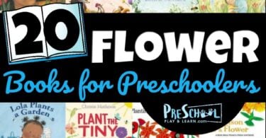 preschool-flower-books