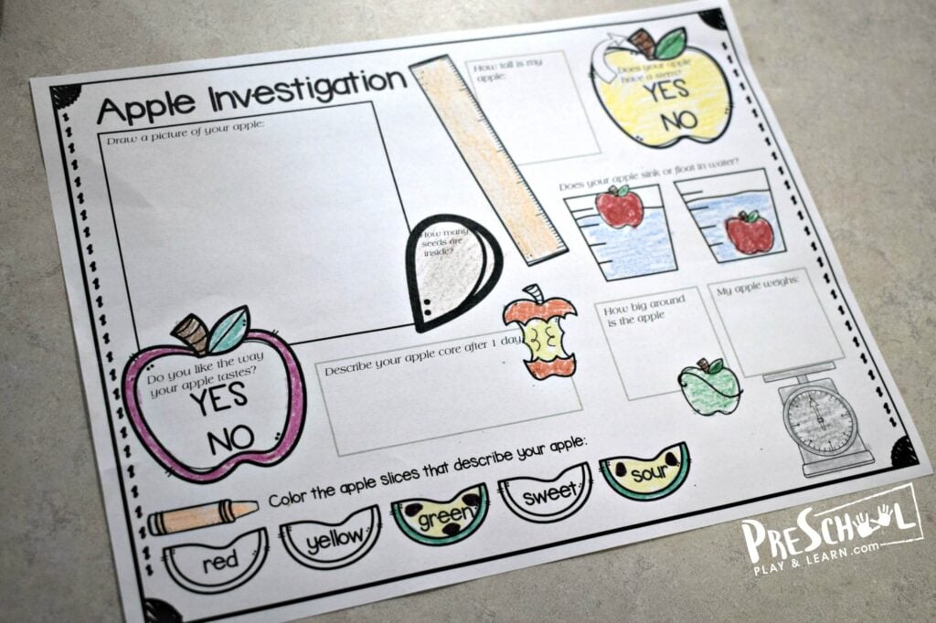 Easy Science Experiments to do with an apple for fall, September and back to school