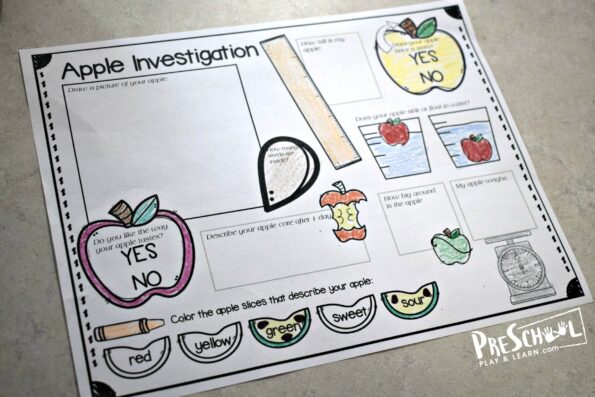 🍎 FREE Printable Apple Science Experiment Worksheet
