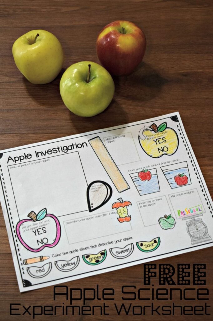 FREE Apple Science Experiment Worksheet - free science printables in this easy science experiments for preschool, prek, kindergarten, and first grade kids. This is perfect for back to school, fall, and September! #preschool #scienceisfun #apples