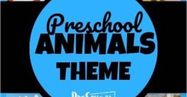 Preschool Animal Theme