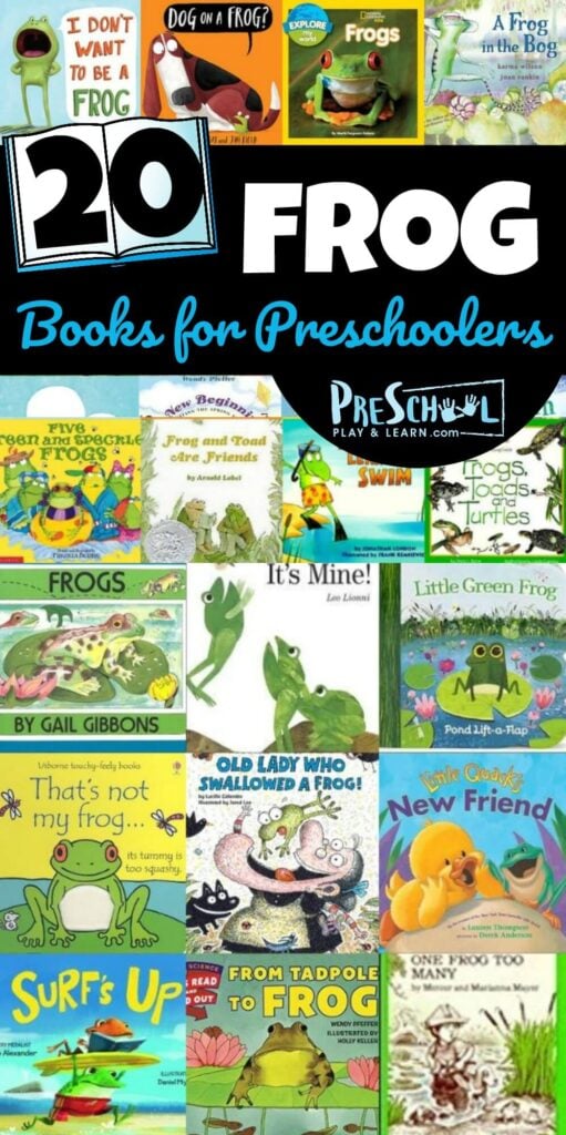 With spring comes an eagerness to get outside and enjoy lovely springtime weather. Kids love observing flowers, leaves on trees, and searching for tadpoles! Expand on toddler, preschool, pre-k, kindergarten, and first graders natural curiousity with these cute frog books for preschool. Pick some amazing books for your frog lover with these 20 books about frogs for preschoolers. The hardest part is picking which preschool books about frogs to start with!