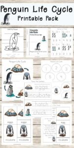 penguin life cycle printables