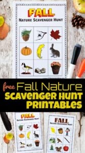 Fall Nature Scavenger Hunt Printables