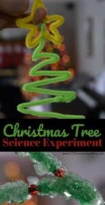 borax crystals christmas tree science experiment