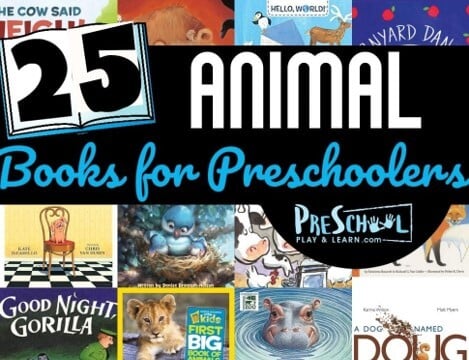 🐘🦍🦩 25 Animal Books for Preschoolers