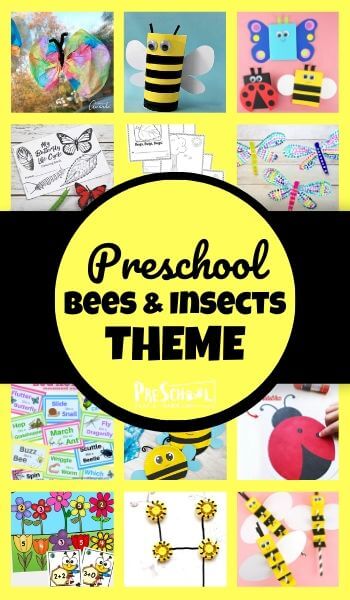 Bee & Insect Theme for Preschoolers