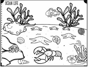 🐳 FREE Printable Ocean Coloring Pages