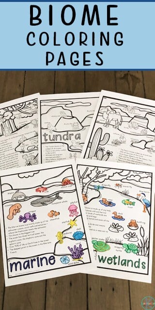 🦊 FREE Printable A to Z Mammals Book