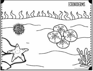echinoderms free ocean coloring page for kids to color