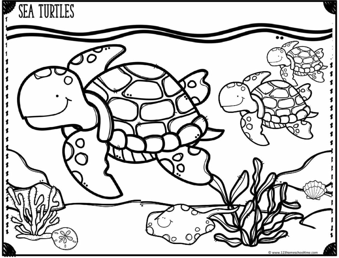 FREE Ocean Coloring Pages