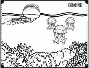 man of war and jellyfish swimming over the beautiful coral reef coloring page