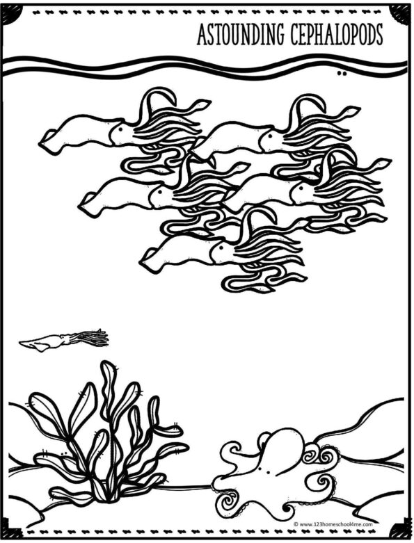 FREE Ocean Coloring Pages