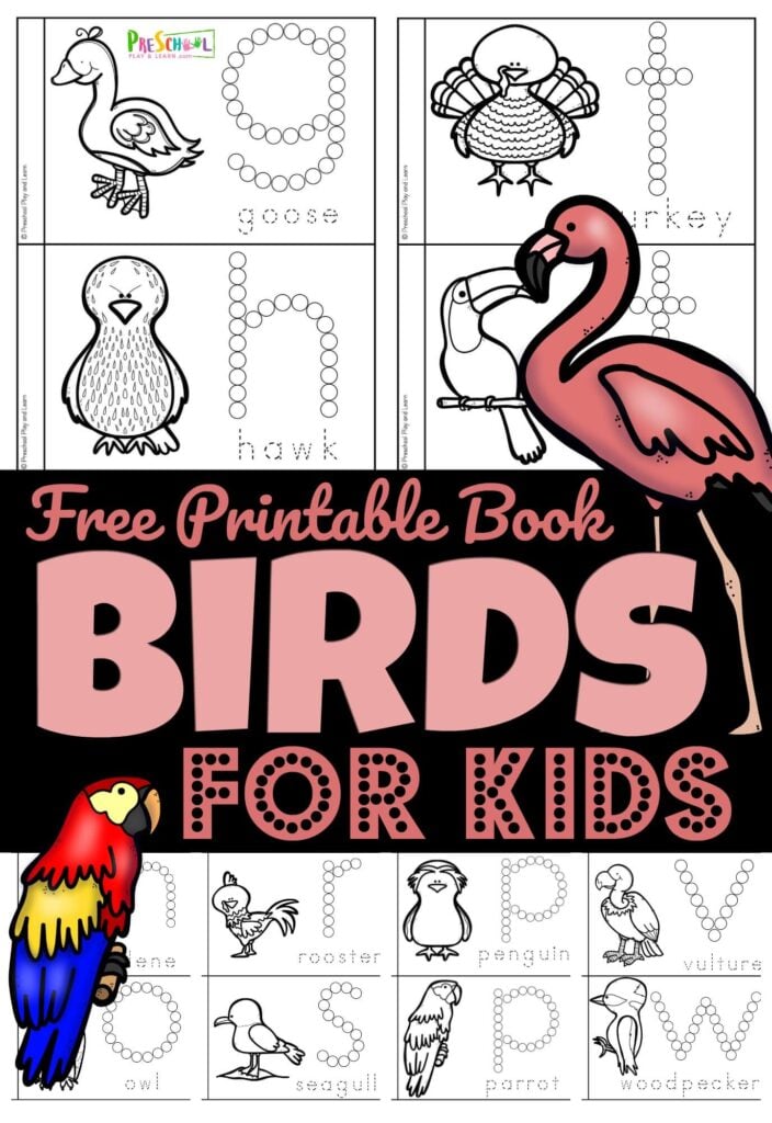 Kids will have fun learning about a variety of birds for preschoolers with this fun and free my bird book printable. This reader is a great way for kids to work on alphabet letters from A to Z with a free do a dot printables. Use this bird activities with toddler, preschool, pre-k, and kindergarten age students. Simply print preschool bird theme printables and you are ready to play and learn your ABCs and lots of fascinating feathered friends too!