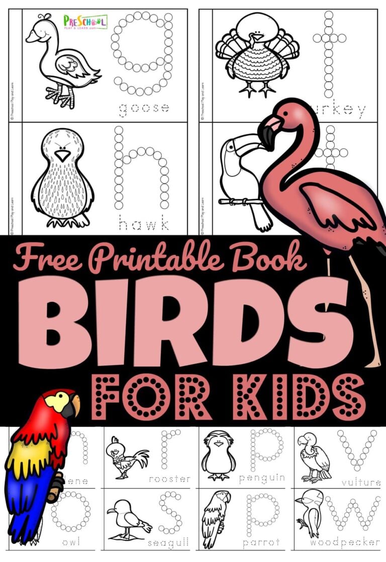 Birds for Preschoolers Printable Book