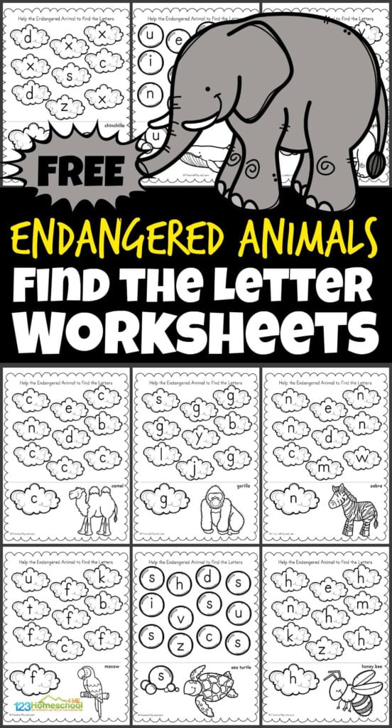 Preschoolers and kindergarteners will love working on visual discrimination and letter recognition with these super cute find the letter worksheets. This letter search allows children to practice identifying uppercase and lowercase alphabet letters from A to Z with cute, endangered animals.  These free printable preschool alphabet worksheets are great visual discrimination activities to add some ABC practice to an animal theme. Simply print the letter find worksheets pdf file with the preschool animal worksheets and you are ready to play and learn!