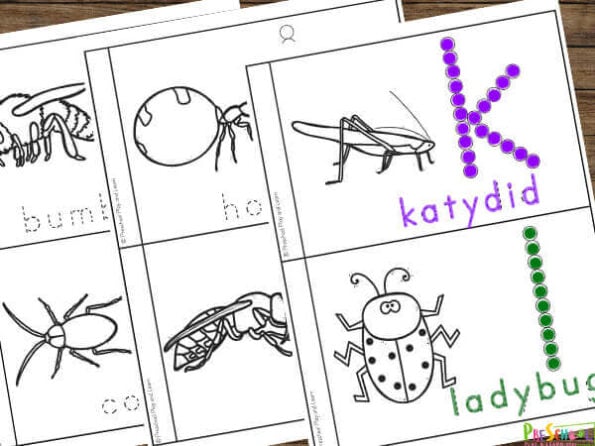 🕷🐞 🦋 FREE Insects for Preschoolers Printable Book