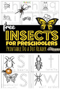 Young children will have fun learning about a variety of insects and creepy crawly bugs with this super cute, fun and free Insects Printable. Use bingo daubers then color and read your own My Books of Insects Dot Reader to learn about 24 different common insects for preschoolers, toddlers, and kindergartners. 