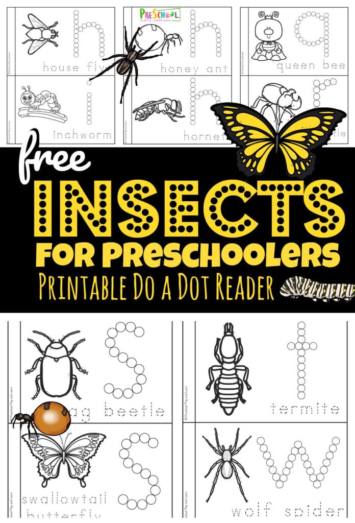 Young children will have fun learning about a variety of creepy crawly insects with this super cute, insect activities that usese an alphabet printable to make a bug reader. Use bingo daubers then color and read your own My Books of Insects Dot Reader to learn about 24 different common insects for preschoolers, toddlers, and kindergartners. Simply print free insects printables and you are ready to learn about lots of different bugs while making lowercase letters with do a dot printables.