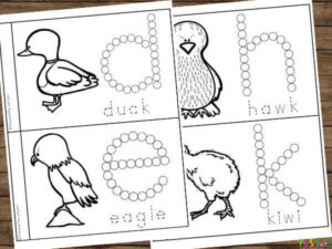 🦩🦜🐧 FREE Birds for Preschoolers Printable Book