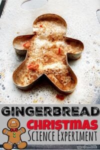 Gingerbread Christmas Science Experiment
