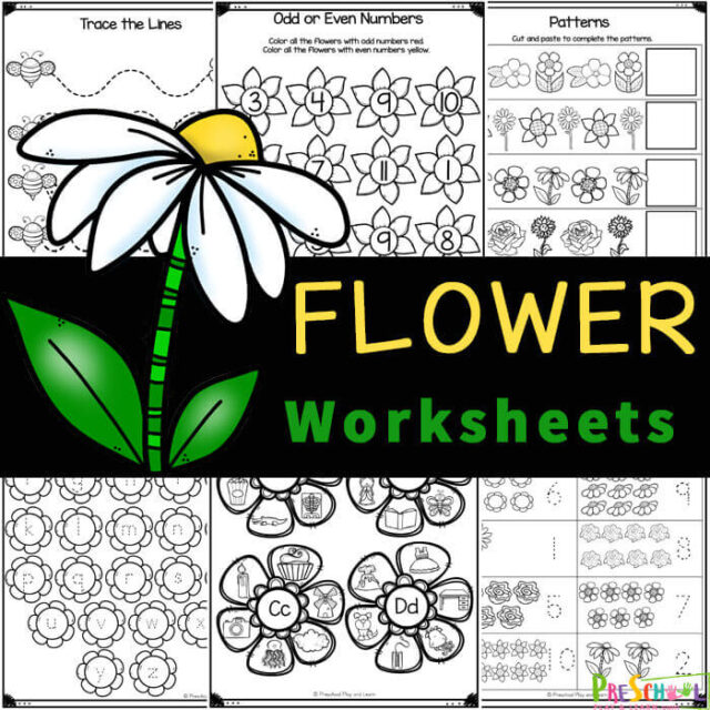 flower-worksheet-for-preschool