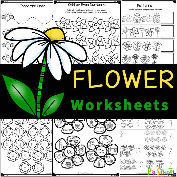Cute flower worksheets for preschoolers and kindergarten with a variety of math and literacy skills. Download preschool spring worksheets! 