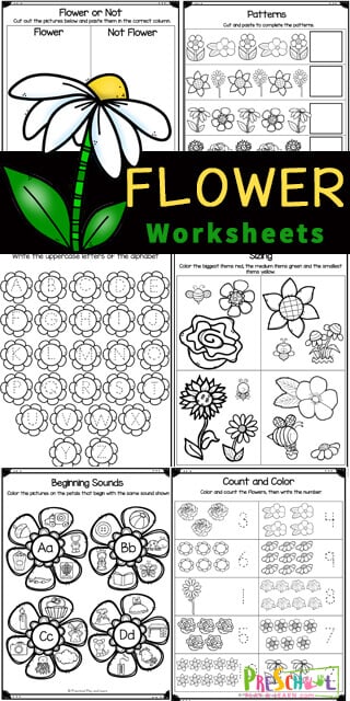 Make learning fun this spring and summer with these super cute flower worksheets. These flower worksheets for preschoolers include a variety of math and literacy skills with a fun flower theme for toddler, preschool, pre-k, and kindergarten age students. Simply print pdf file with preschool spring worksheets and you are ready to play and learn with a Flower Activities for Preschool. 
