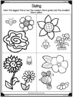 🌼 FREE Printable Flower Worksheets for Preschool and Kindergarten