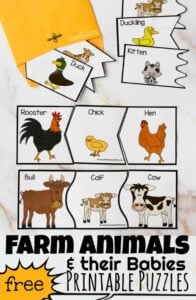 farm animals and their babies