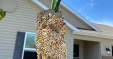 Simple DIY Bird Feeder for Kids is a fun, easy-to-make bird feeder craft to make from a Toilet Paper Roll and peanut butter this summer!