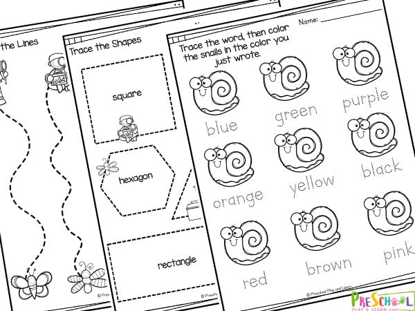 Bug worksheets for preschoolers