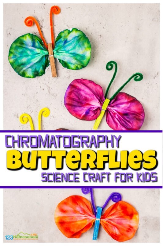 🦋 FREE Printable Butterfly Number Sense Activities for Preschoolers