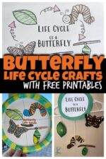 🦋 FREE Printable Butterfly Number Sense Activities for Preschoolers