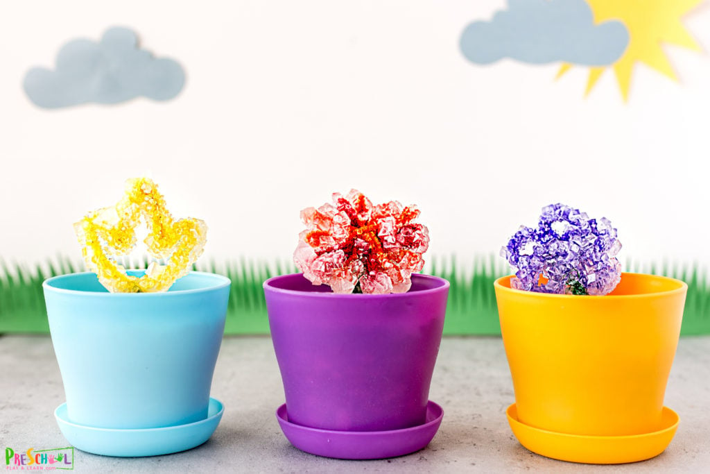 Flower Activity for preschoolers
