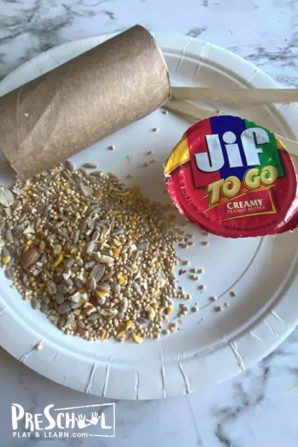 🐦 Simple DIY Toilet Paper Roll Bird Feeder for Kids