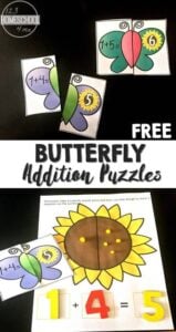 butterfly addition puzzles