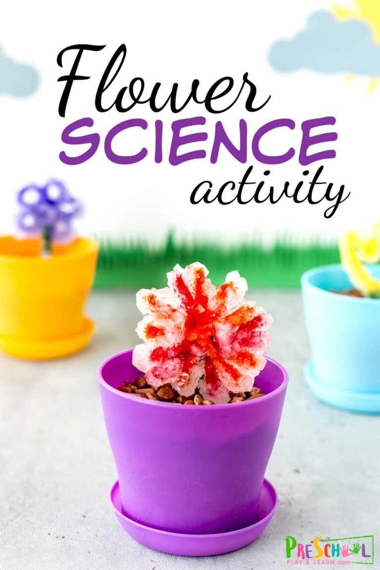 Flower Science Experiment for Preschoolers