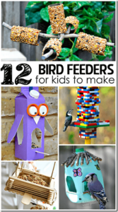 12 homemade bird feeders for kids to make