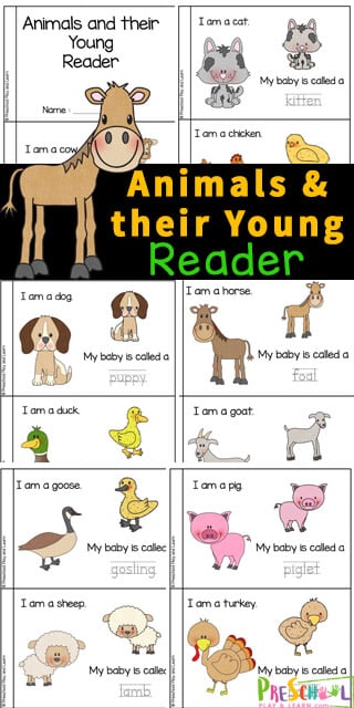 🐷🐖 FREE Animals and their Young Printable Reader for Kids