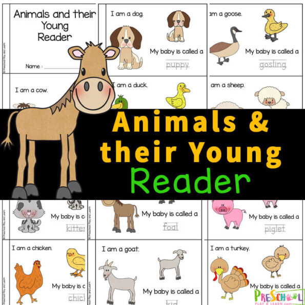 🐷🐖 FREE Animals and their Young Printable Reader for Kids