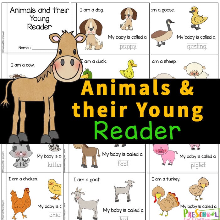 Animals and their Young Printable Reader for Kids