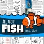 fish for kids