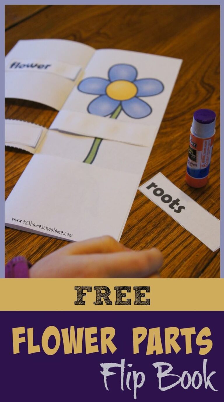 🐝 Simple Jello Bee Pollination Experiment for Kids