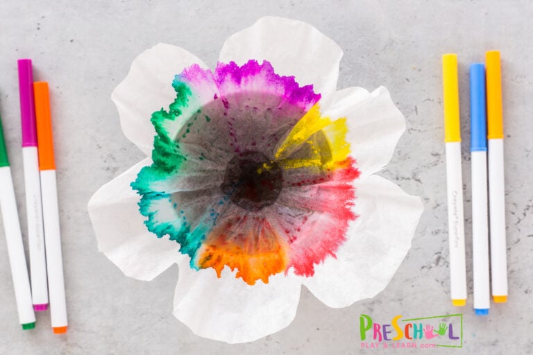 Flower Chromatography Science Experiment for Preschoolers