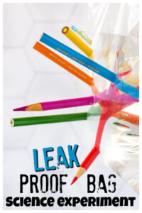 Leak-Proof-Bag